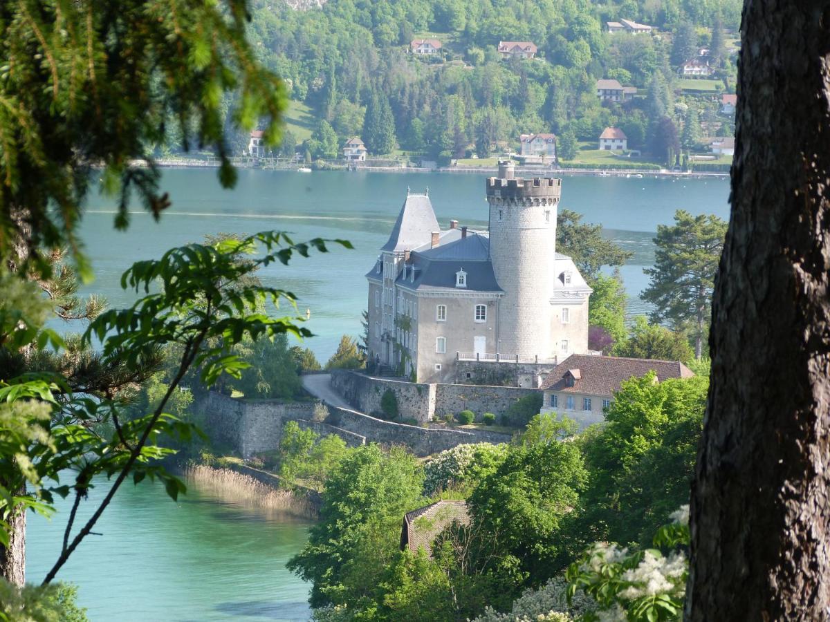 Au Bord Du Lac D'Annecy, Logement Type Loft, Dans Residence Avec Plage Et Ponton Privee Duingt Bagian luar foto